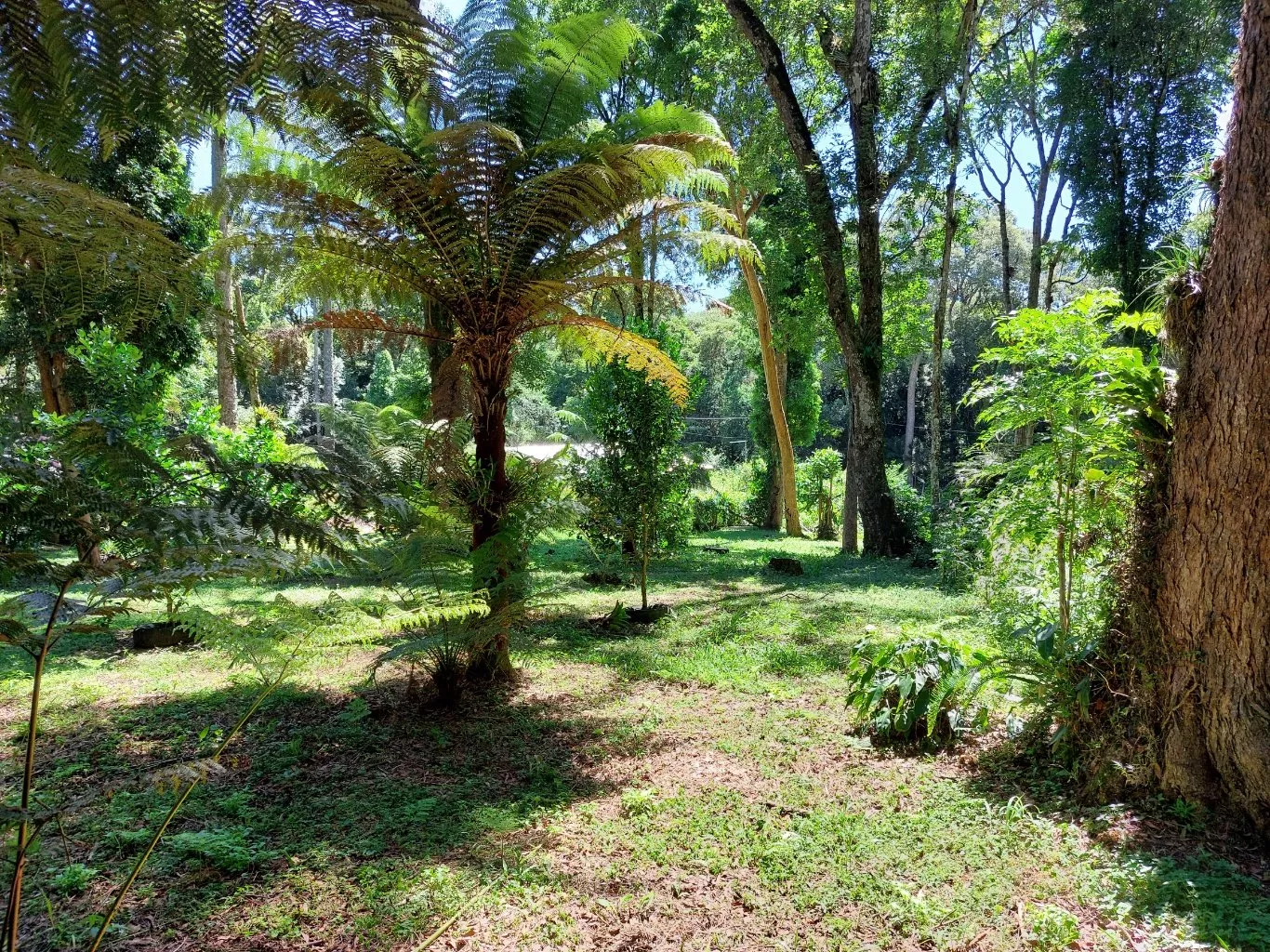 Fazenda à venda com 2 quartos, 10300m² - Foto 3