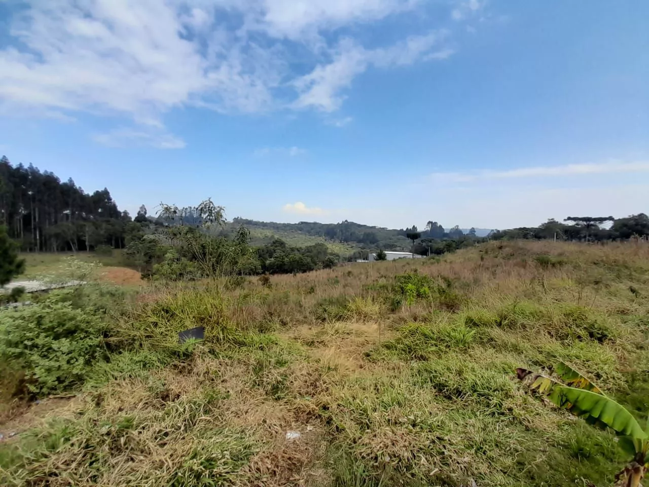 Fazenda à venda com 1 quarto, 20000m² - Foto 2