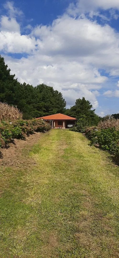 Fazenda à venda com 3 quartos, 167m² - Foto 7