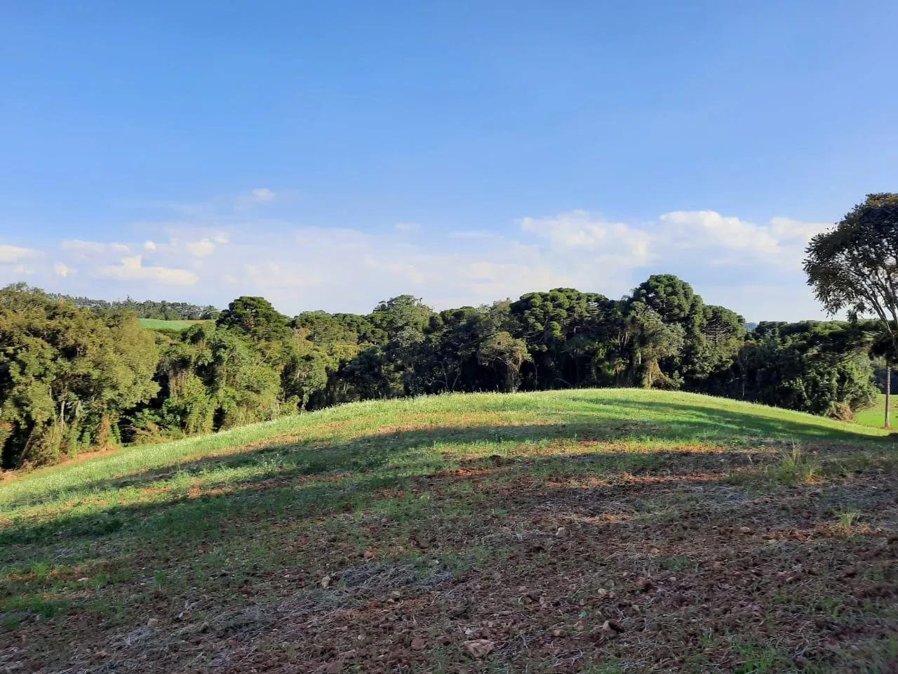 Fazenda à venda com 1 quarto, 127m² - Foto 9