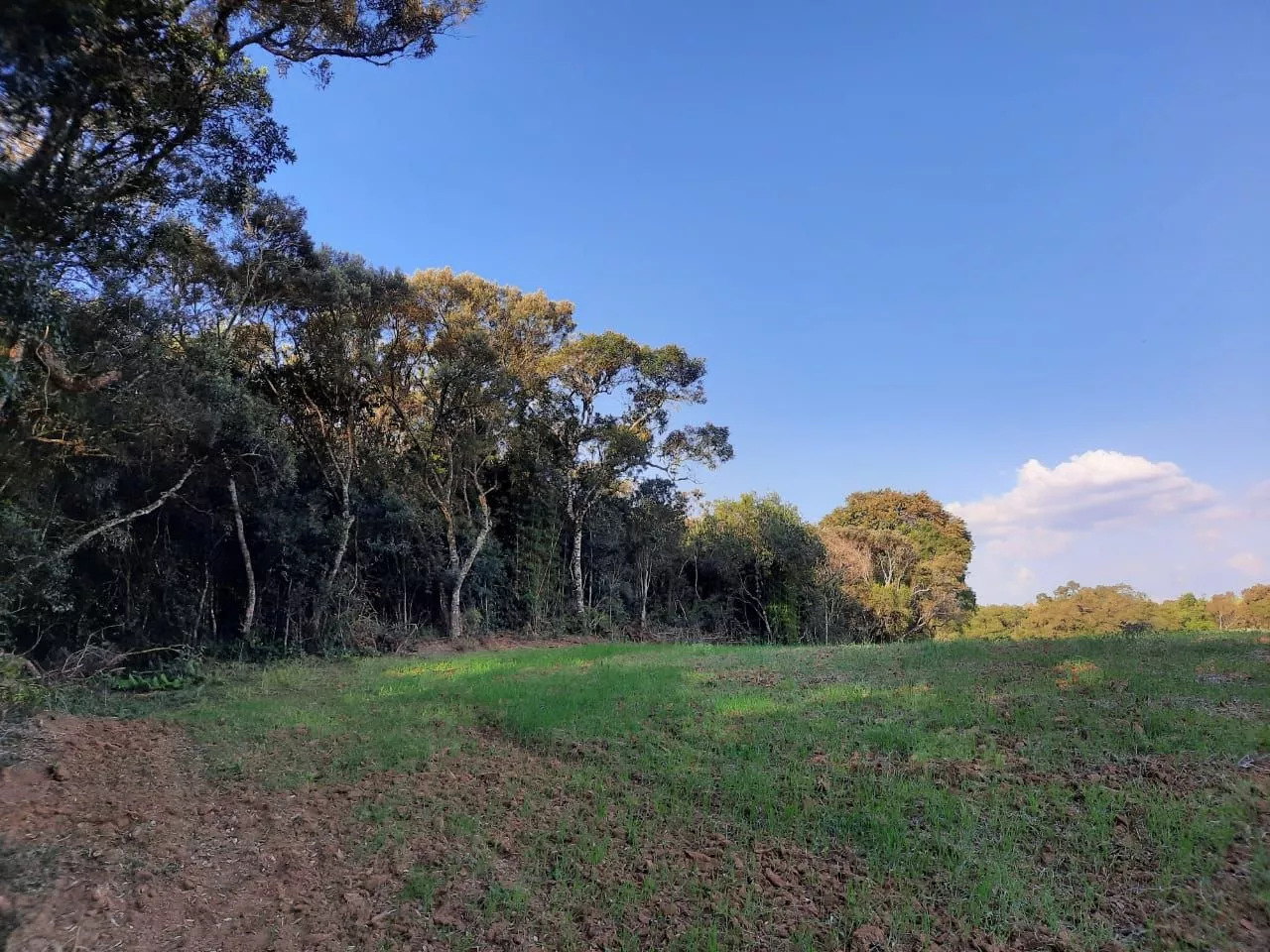 Fazenda à venda com 1 quarto, 127m² - Foto 16