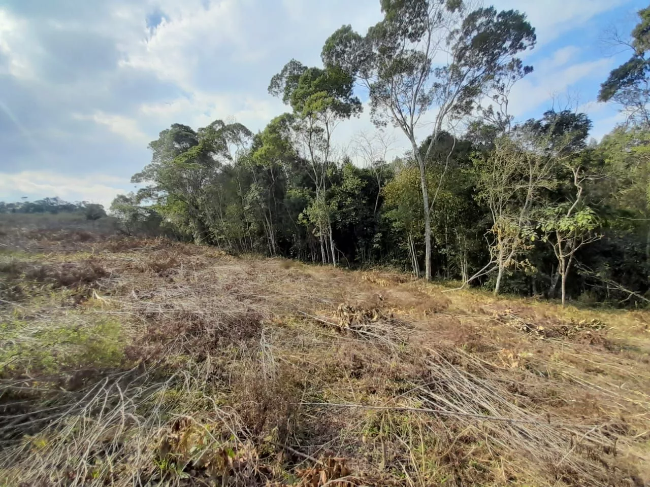 Fazenda à venda com 1 quarto, 20000m² - Foto 4