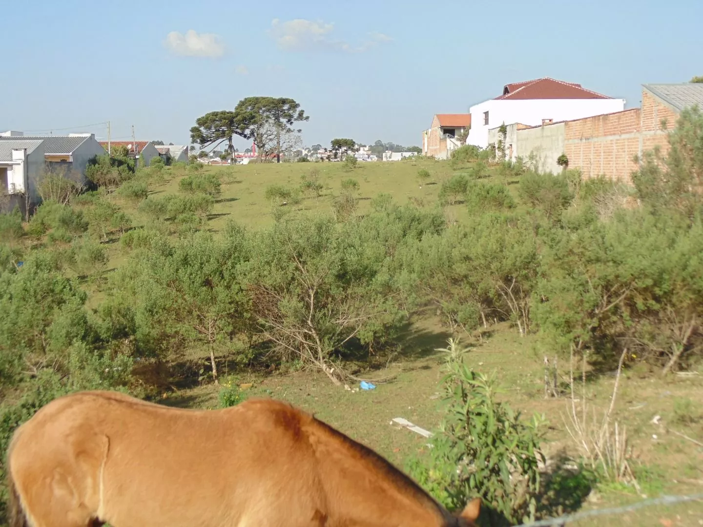 Terreno à venda, 11665m² - Foto 6