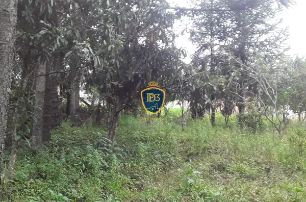 Chácara para venda,  - Ponta Grossa