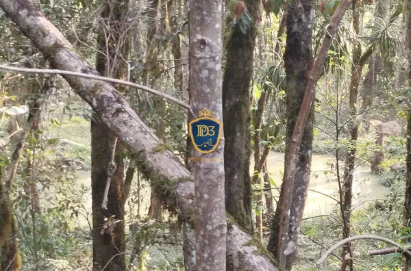 Chácara para venda, 2 quarto(s),  Gleba Cerradinho, Ponta Grossa - Foto 19