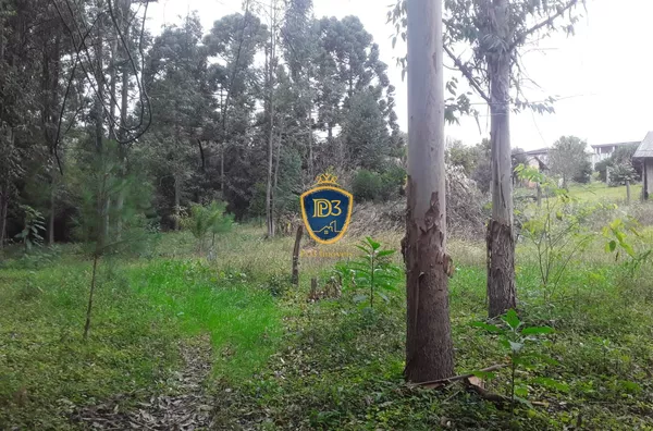 Chácara para venda,  - Ponta Grossa