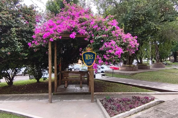 Apartamento para venda,  - Selecione - Bairro, Ponta Grossa