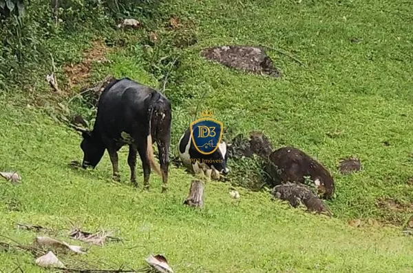 CHACARA COM 100.000m² A VENDA COM VISTA PARA O PICO MARUMBI, ANTONINA PR