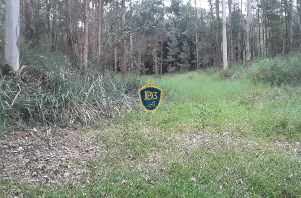 Chácara para venda,  - Ponta Grossa