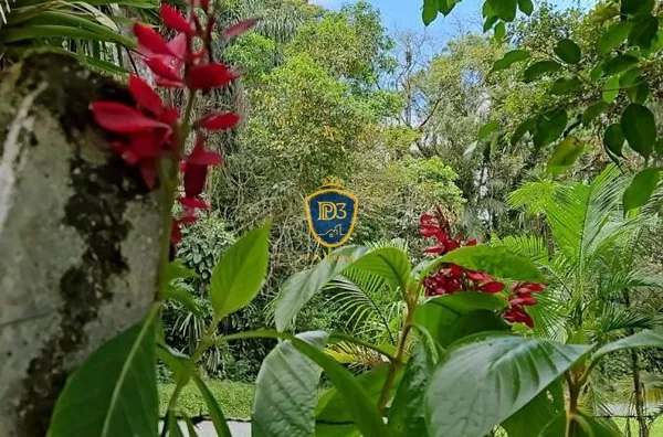 CHACARA COM 100.000m² A VENDA COM VISTA PARA O PICO MARUMBI, ANTONINA PR