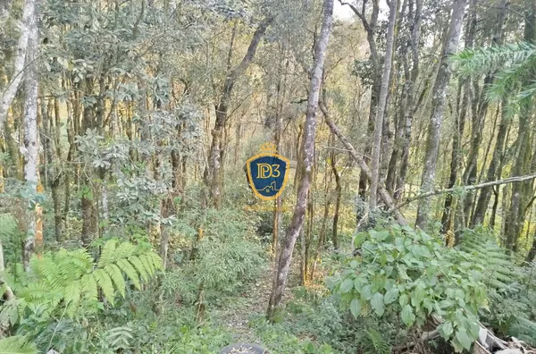 Chácara para venda, 2 quarto(s),  Gleba Cerradinho, Ponta Grossa - Foto 18
