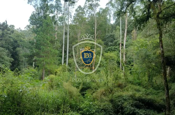 FAZENDA NA CIDADE DE CAMPO LARGO