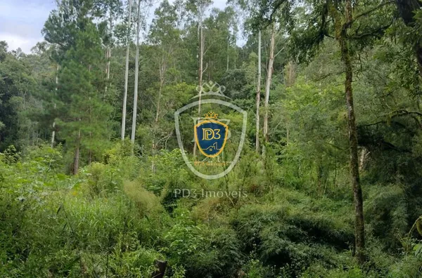 FAZENDA NA CIDADE DE CAMPO LARGO