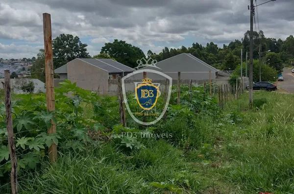 TERRENO A VENDA EM UVARANAS COM 5 MIL M²