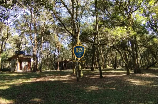 Chácara para venda,12.100m²  Zona Rural, Prudentópolis