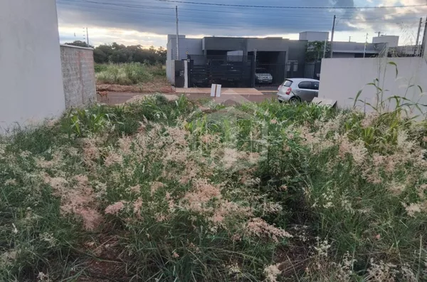 Terreno à venda de 220 m2 no Jardim Alvorada, Foz do Iguaçu.