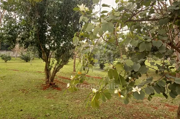 Condomínio Rose Garden,  Terreno para venda, 600m2, Cognópolis, Foz do Iguaçu, PR