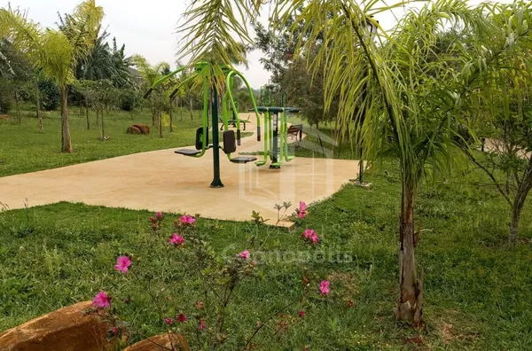 academia ao ar livre