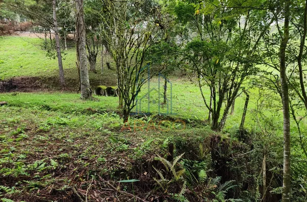 Chácara para venda,  25 De Julho, São Bento Do Sul