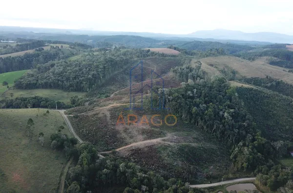 Terreno para venda,  Tijucume, Campo Alegre