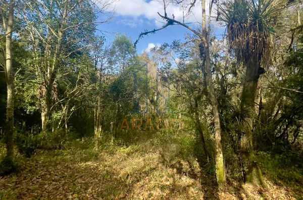 Terreno para venda,  Doce Grande, Quitandinha