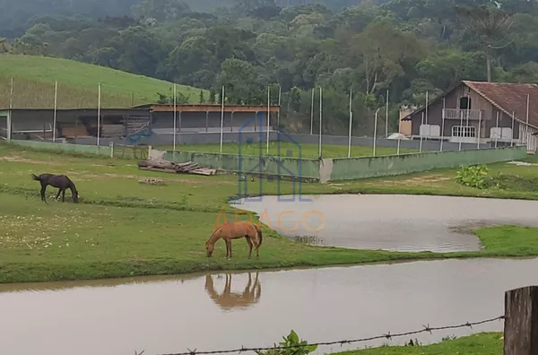 Chácara para venda, 4 quarto(s),  Trigolândia, Piên