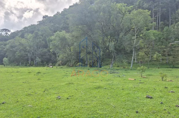 Chácara para venda,  Alegre, Rio Negrinho