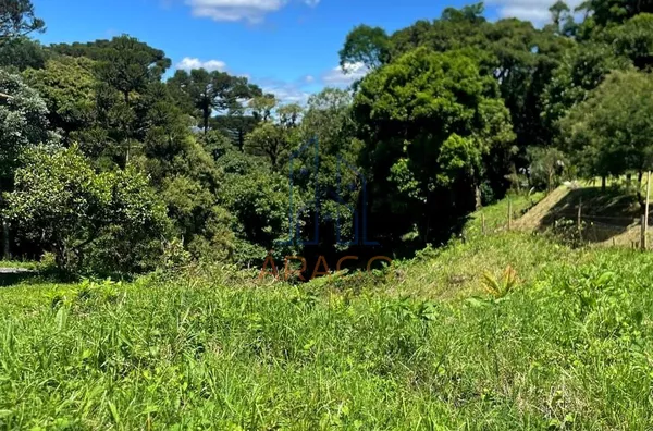 Terreno para venda,  Serra Alta, São Bento Do Sul