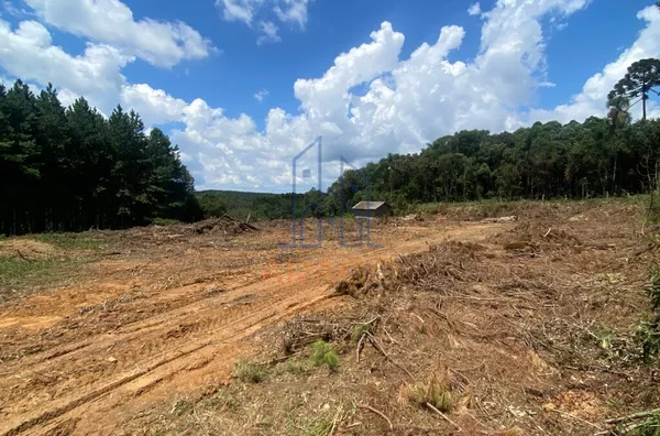 Terreno para venda,  Serra Alta, São Bento Do Sul
