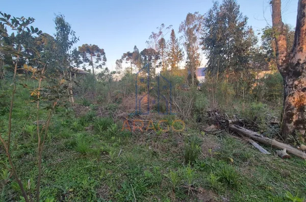 Terreno 1141M² ,  Alpino, São Bento Do Sul