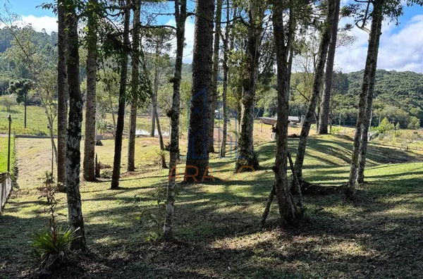 Chácara para venda,  Trigolândia, São Bento Do Sul