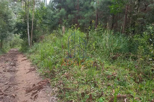 Chácara para venda,  Areias, Agudos