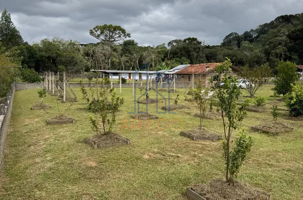 Chácara para venda, Trigolândia, Piên 
