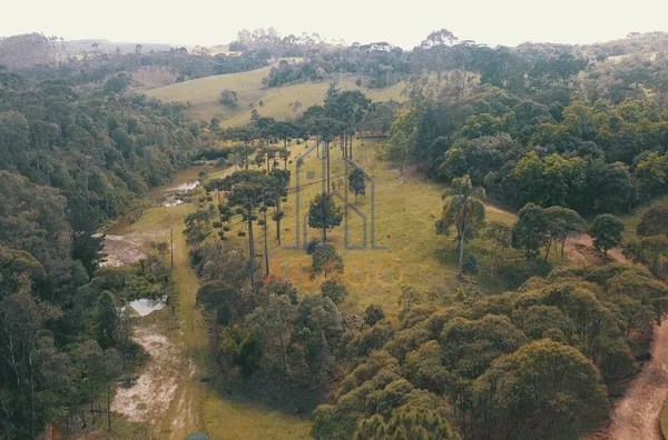Chácara para venda,  Vila Pilz, São Bento Do Sul