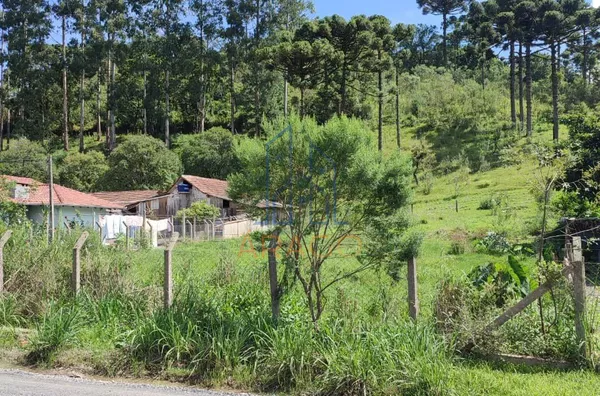 Terreno para venda,  Rio Vermelho Povoado, São Bento Do Sul
