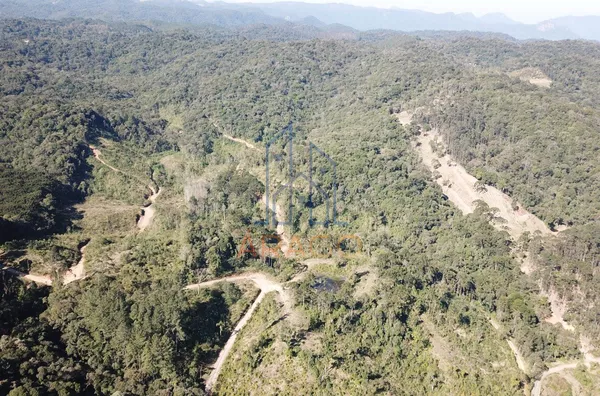 Terreno para venda,  Serra Alta, São Bento Do Sul