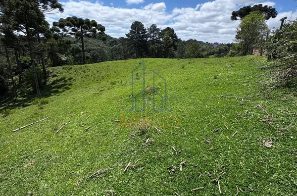 Terreno para venda,  25 De Julho, São Bento Do Sul