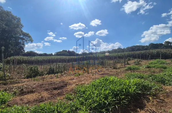 Terreno para venda,  Bairro Dona Francisca, São Bento Do Sul