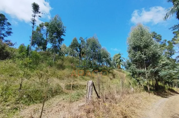 Terreno EXCELENTE PARA CHÁCARA - venda,  Serra Alta, São Bento Do Sul