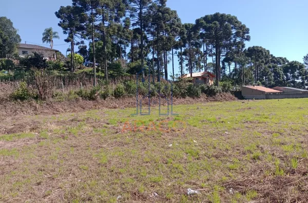 Terreno para venda,  Bateias De Baixo, Campo Alegre