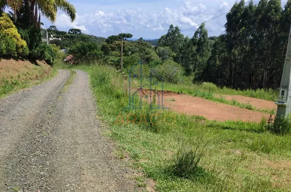Terreno para venda,  Rio Vermelho Povoado, São Bento Do Sul