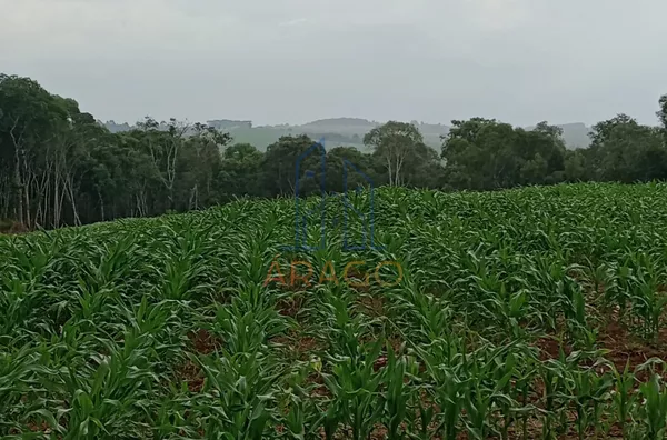 Chácara para venda, Rio Negro - PR
