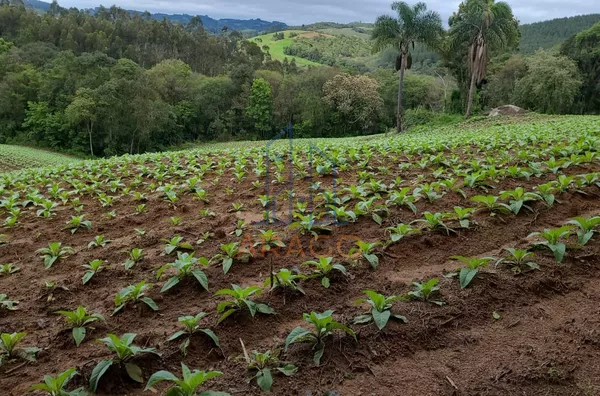 Terreno para venda,  água Clara De Baixo, Quitandinha