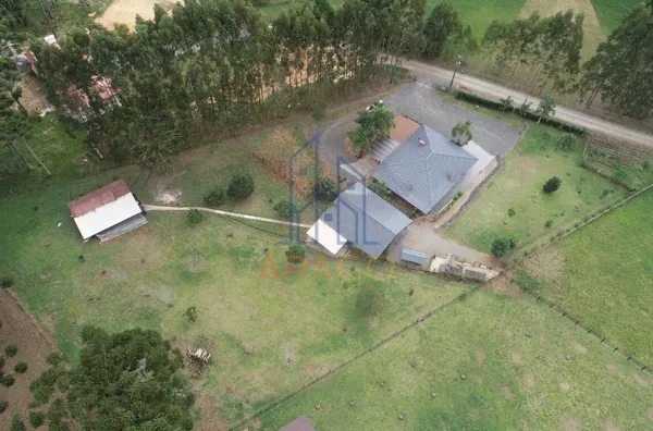 Chácara para venda,  Saltinho, Campo Alegre