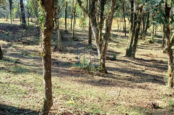 Terreno para venda,  Corredeiras, Campo Alegre