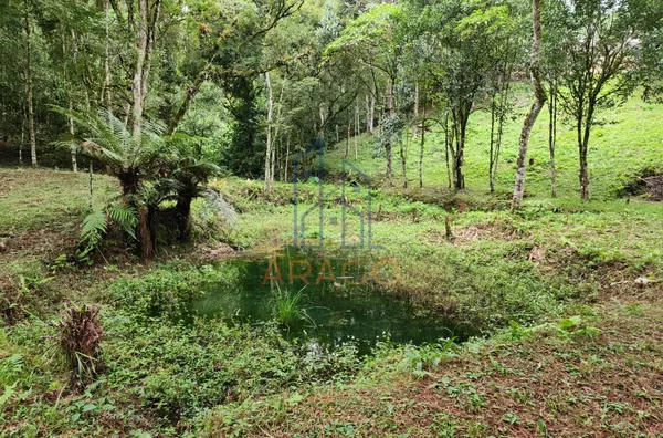 Chácara para venda,  25 De Julho, São Bento Do Sul