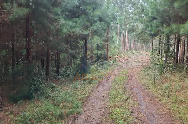 Chácara para venda,  Areias, Agudos