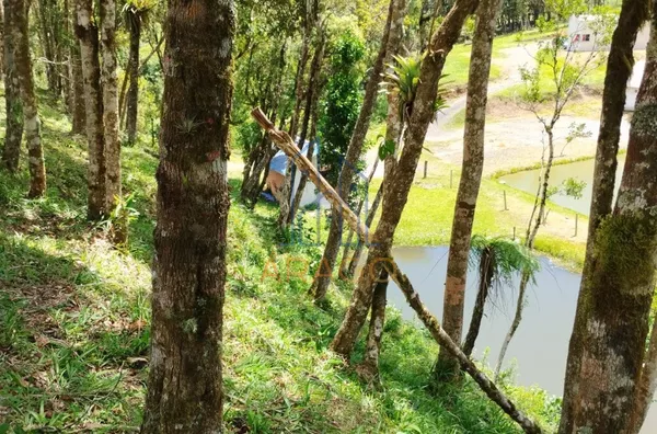Terreno EXCELENTE PARA CHÁCARA,  Rio Vermelho Povoado, São Bento Do Sul