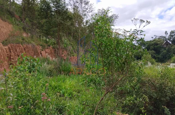 Terreno para venda, lote 01 - Serra Alta, São Bento Do Sul