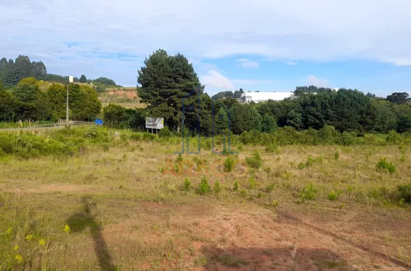 Terreno para venda,  Dona Francisca, São Bento Do Sul